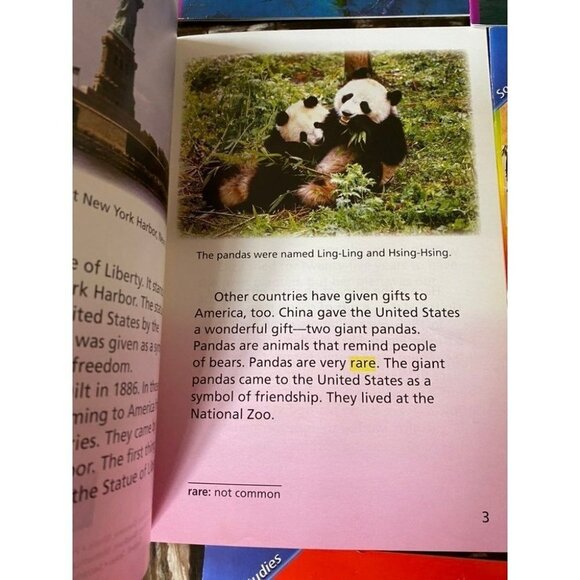 Scott Foresman Reading Street 3  Elementary Homeschooling reading books - Picture 2 of 6